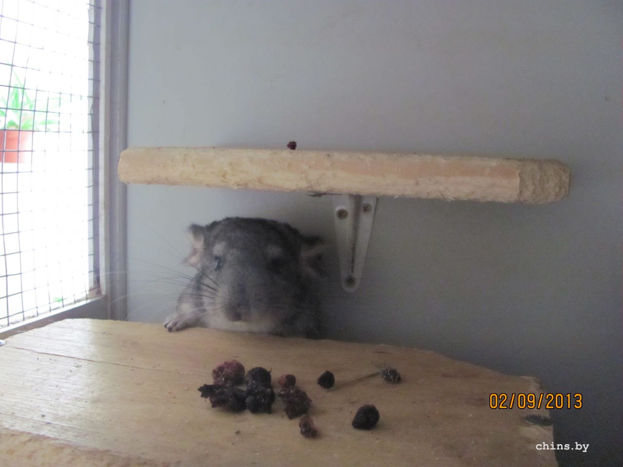 Изображение 704.jpg