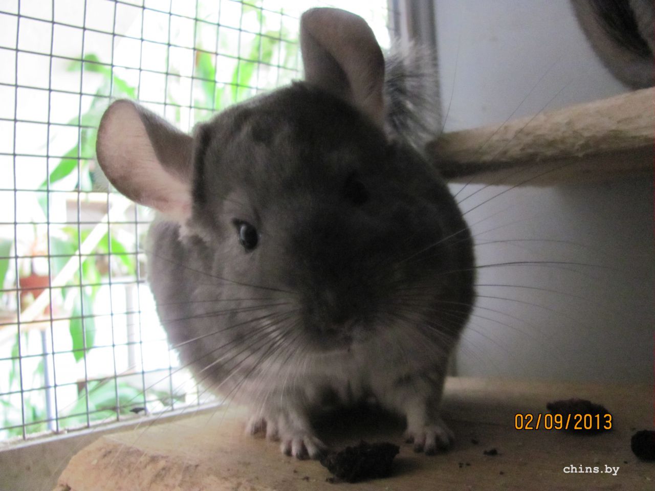 Изображение 709.jpg