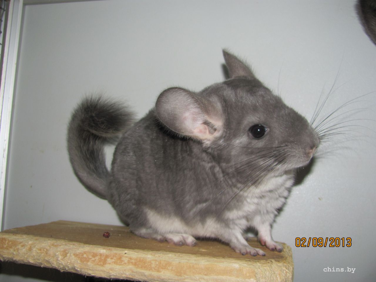 Изображение 702.jpg