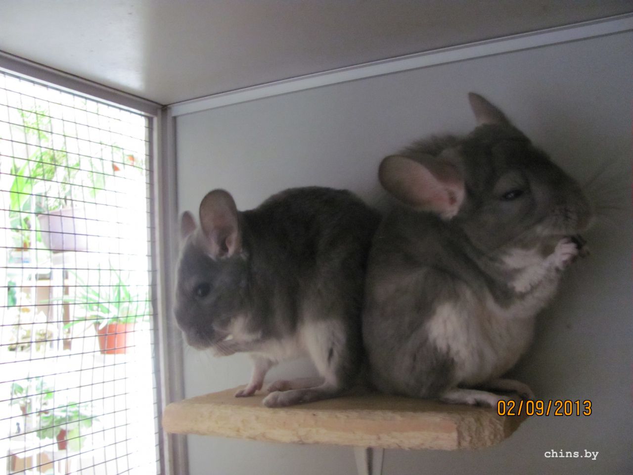 Изображение 701.jpg