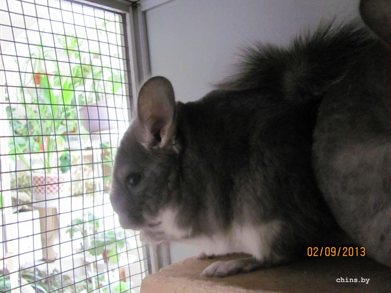 Изображение 692.jpg