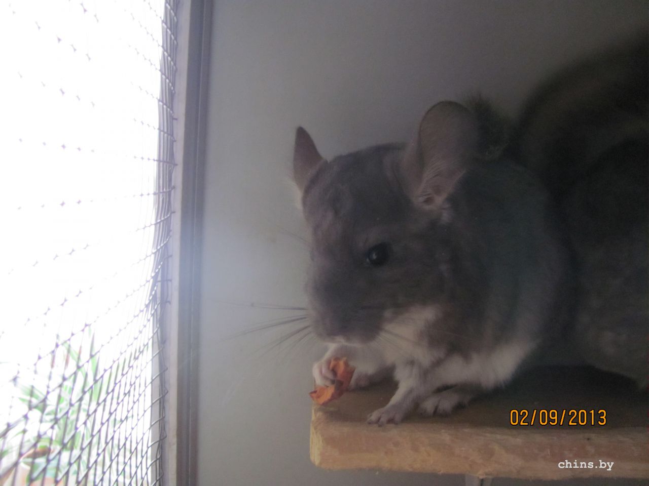 Изображение 679.jpg