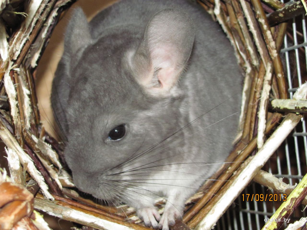 Изображение 802.jpg