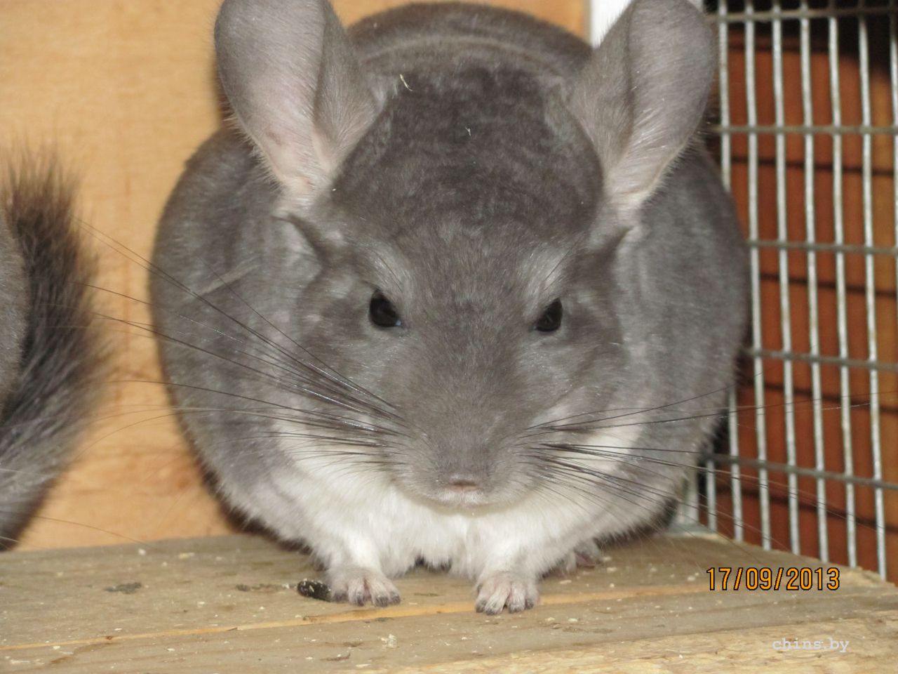 Изображение 804.jpg