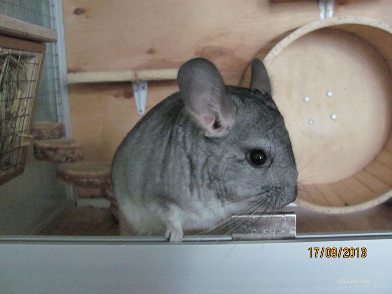 Изображение 787.jpg