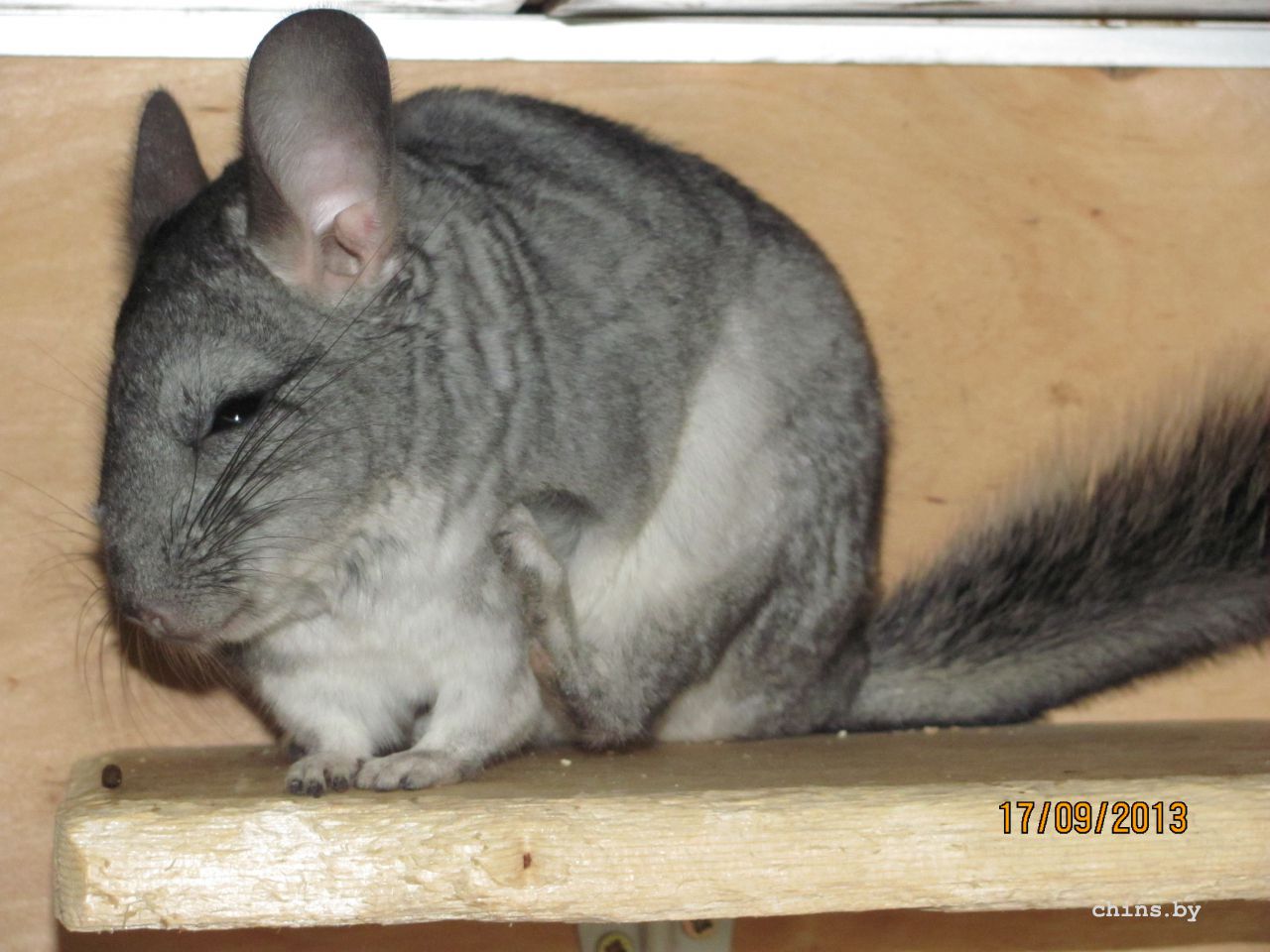 Изображение 793.jpg