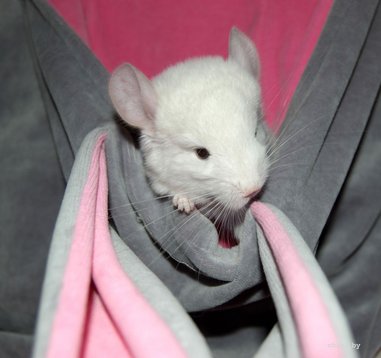 Кристалл 0.jpg