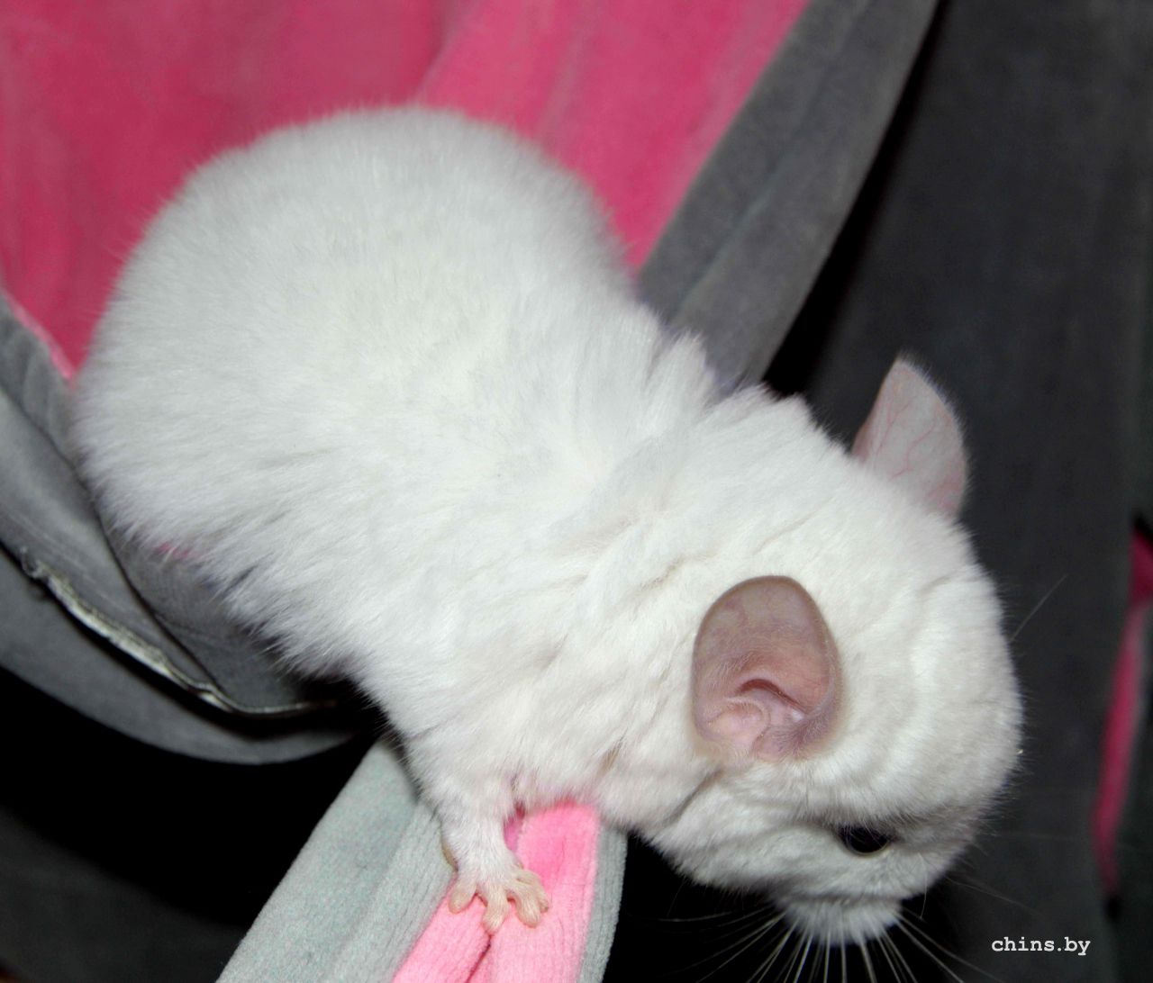 Кристалл 3.jpg