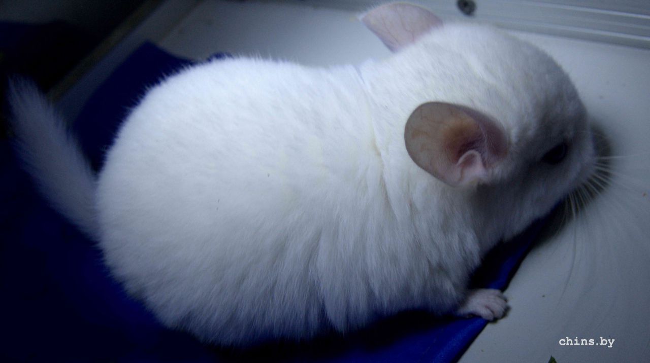 Кристалл 5.jpg