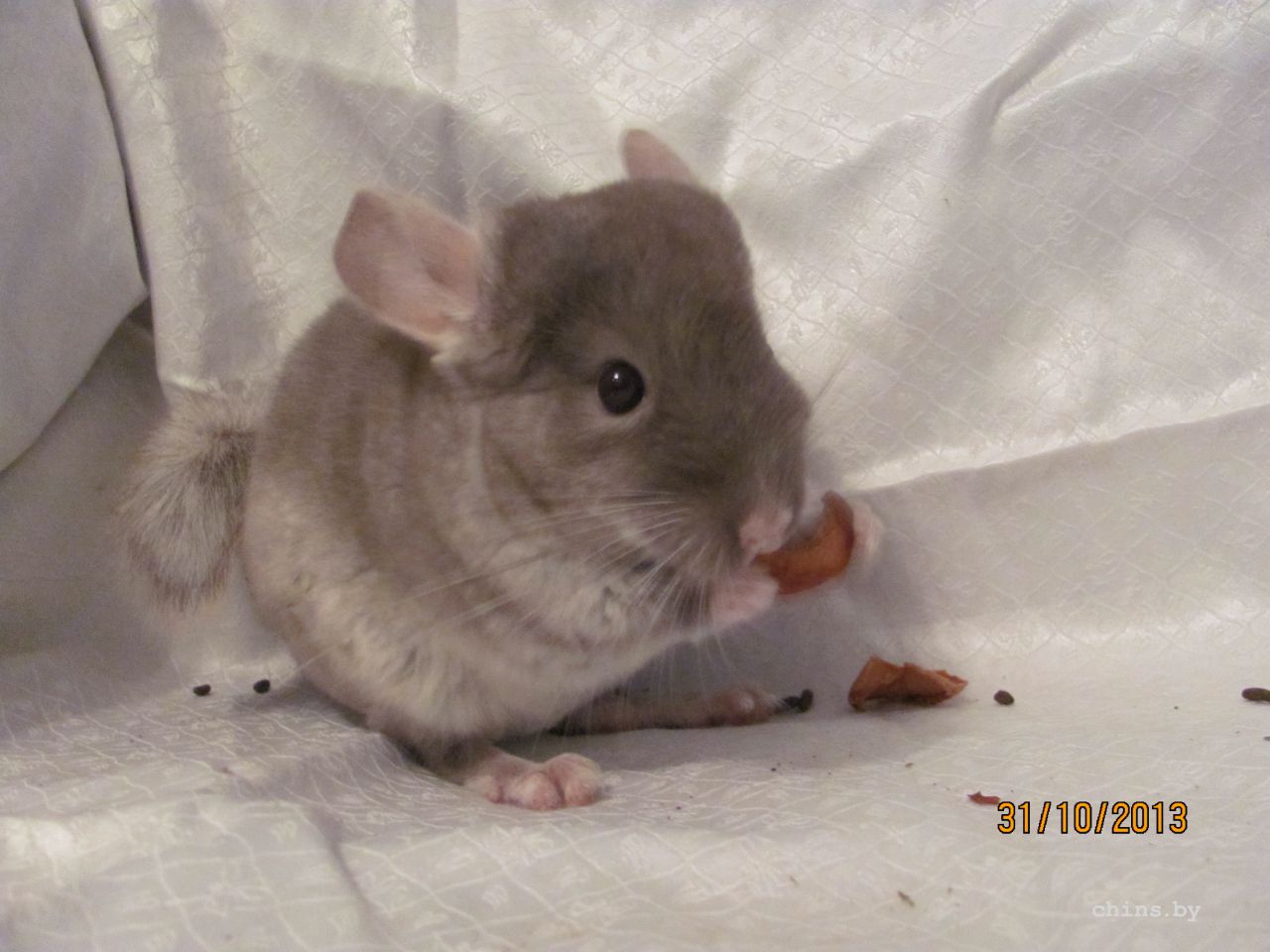 Изображение 946.jpg