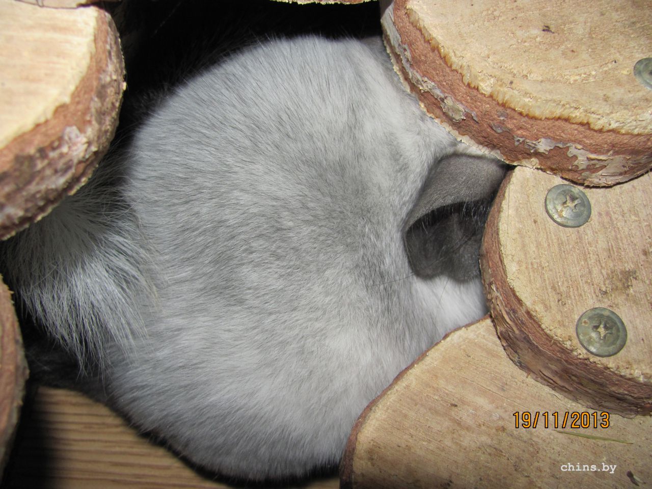 Изображение 964.jpg