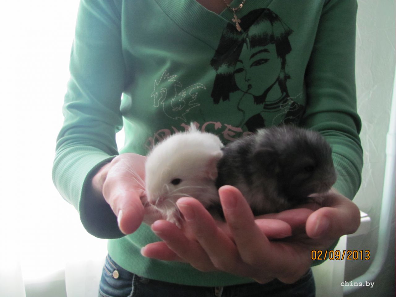 Изображение 656.jpg