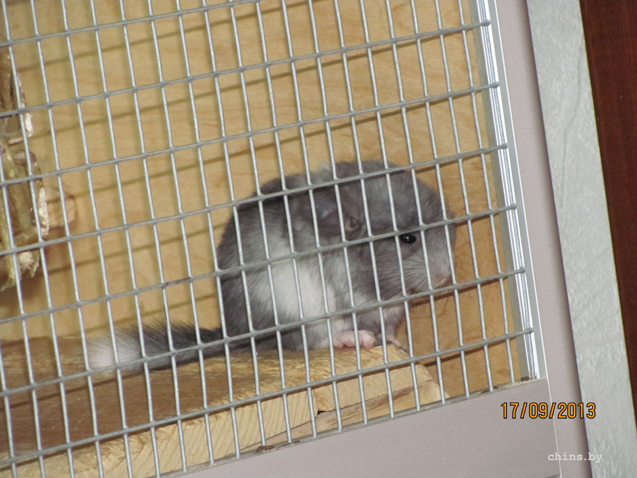 Изображение 768.jpg