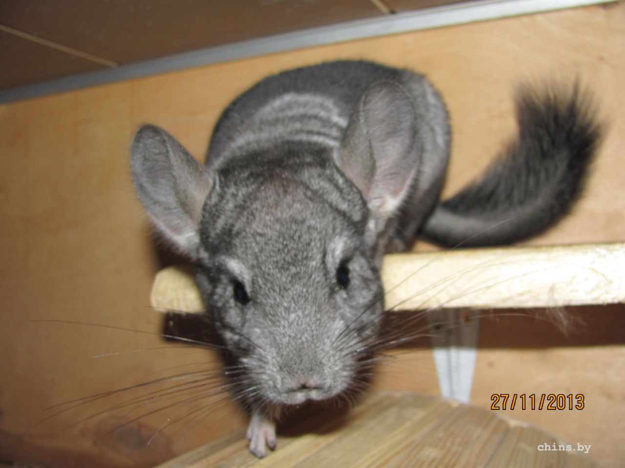 Изображение 1026.jpg