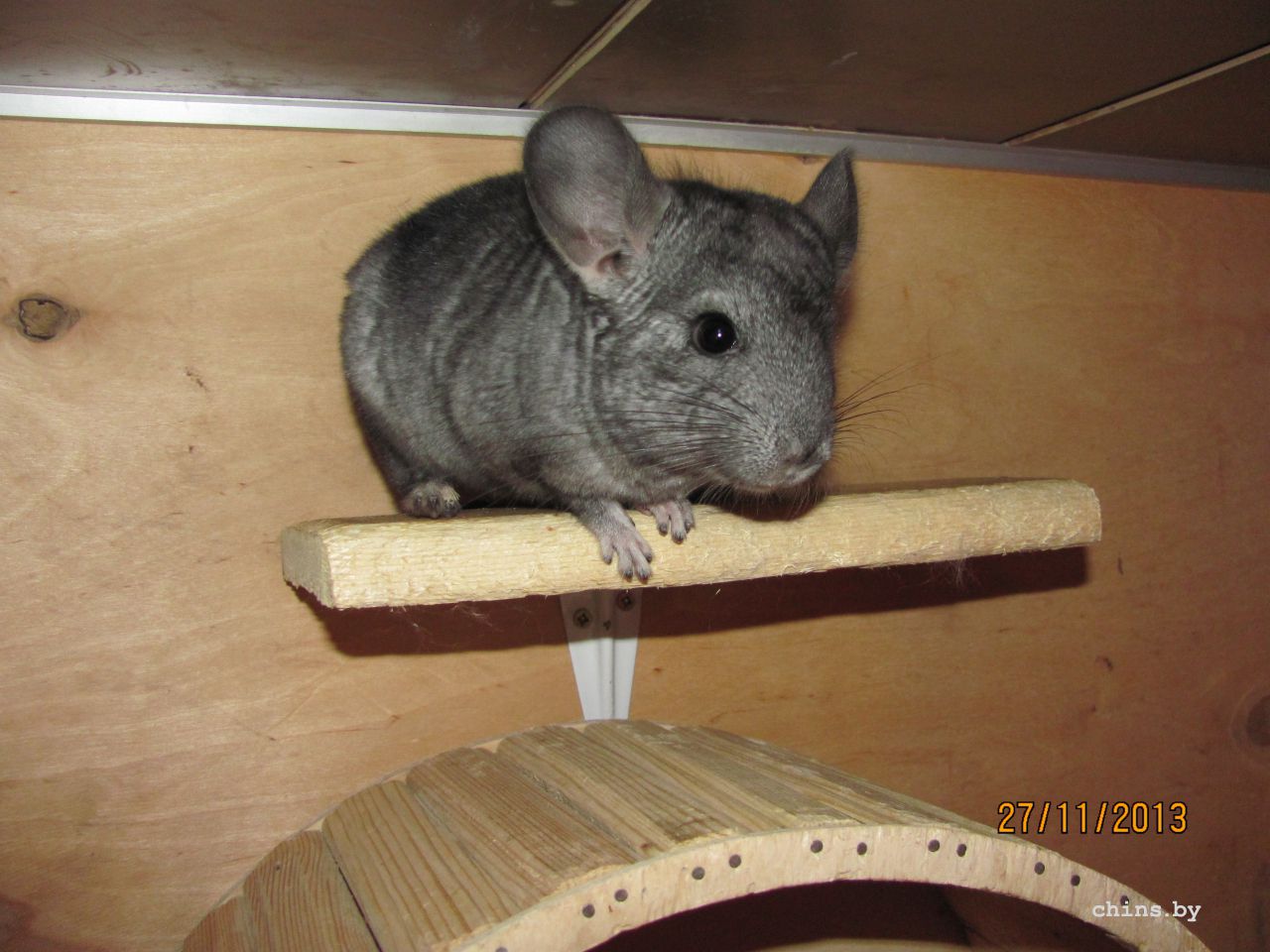 Изображение 1027.jpg