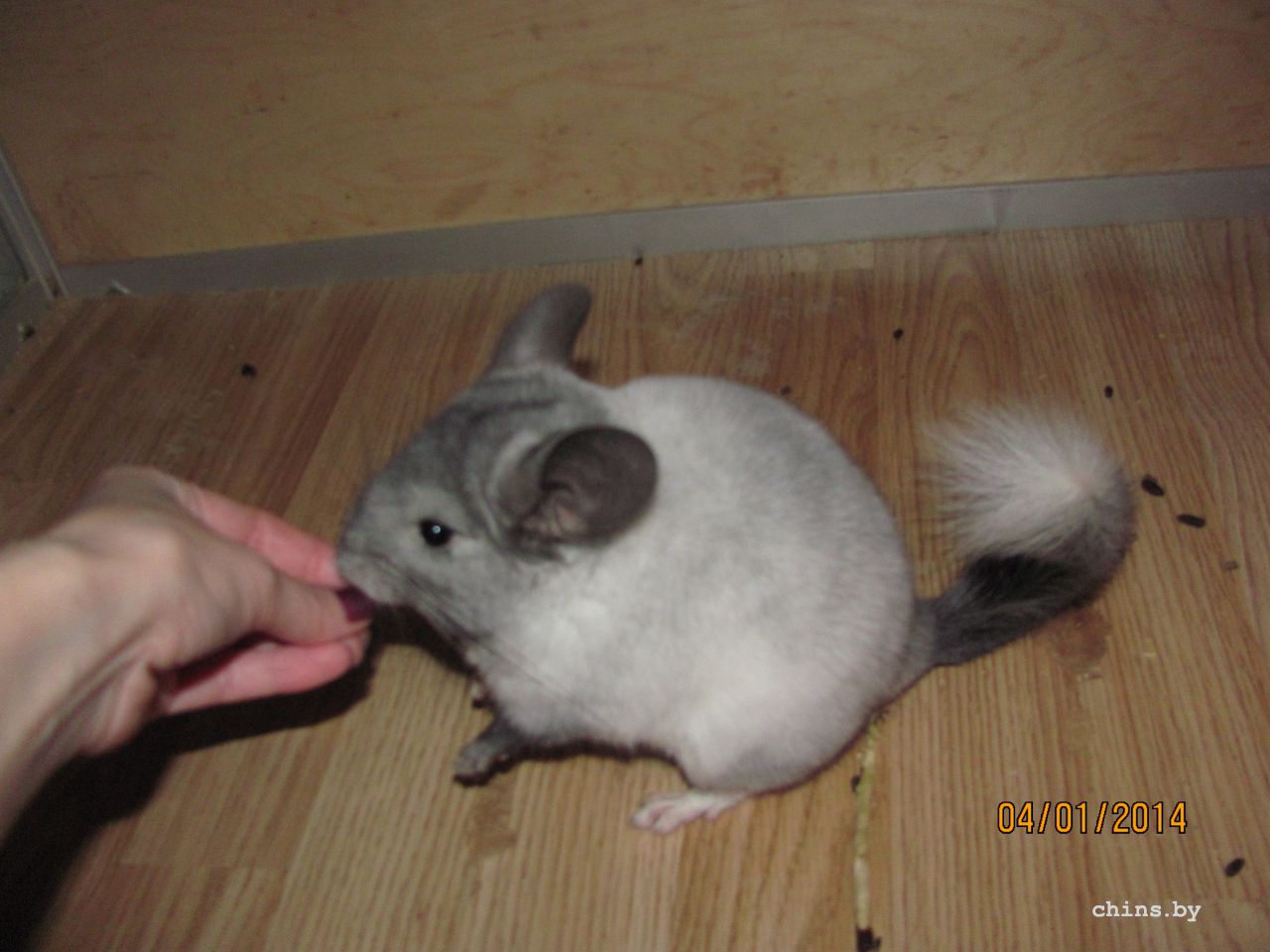 Изображение 1091.jpg