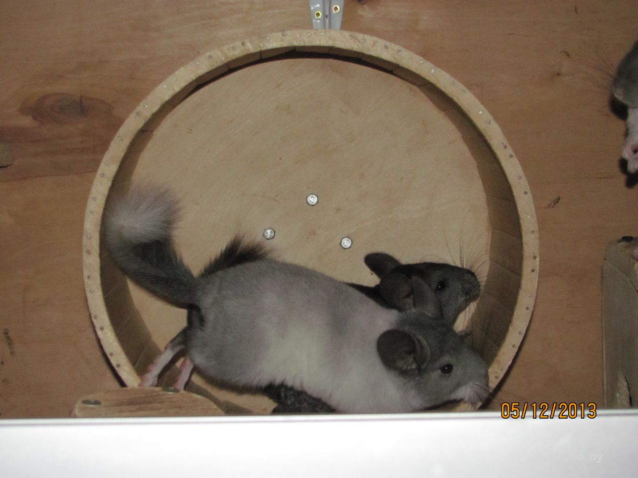 Изображение 1075.jpg