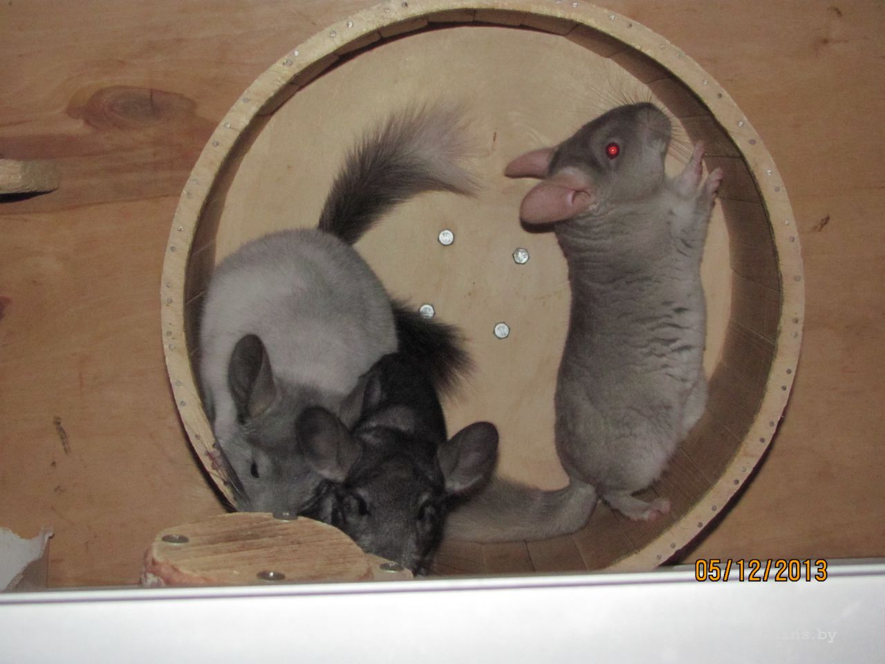 Изображение 1076.jpg