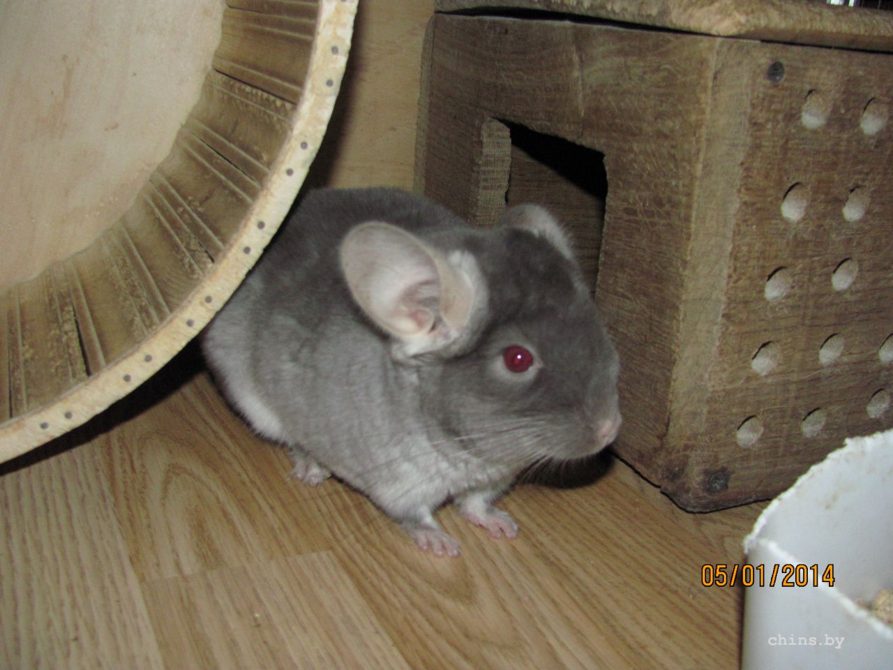 Изображение 1141.jpg