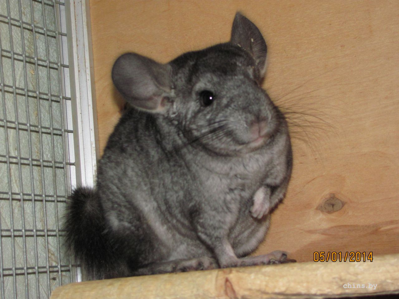 Изображение 1191.jpg