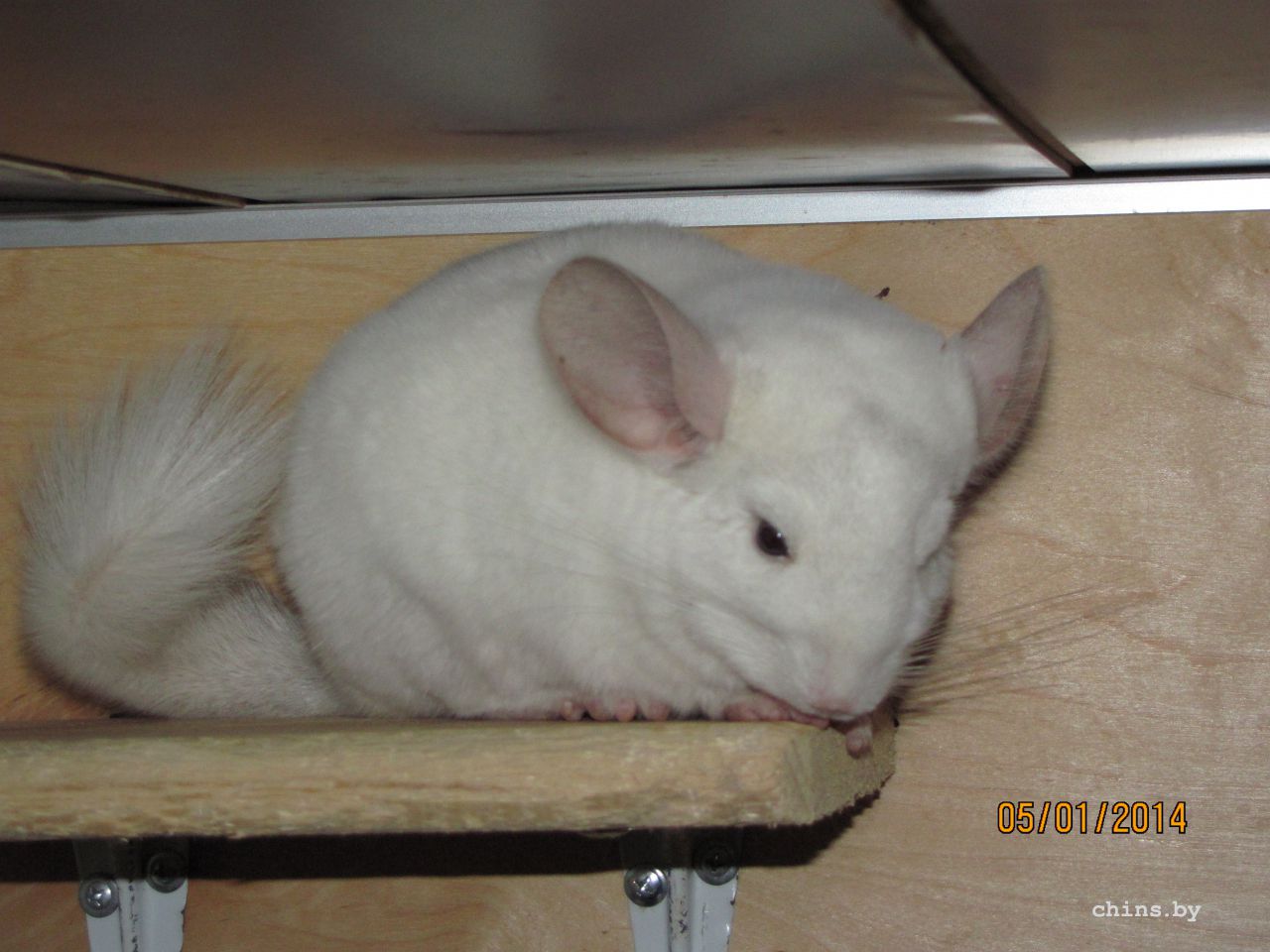 Изображение 1181.jpg