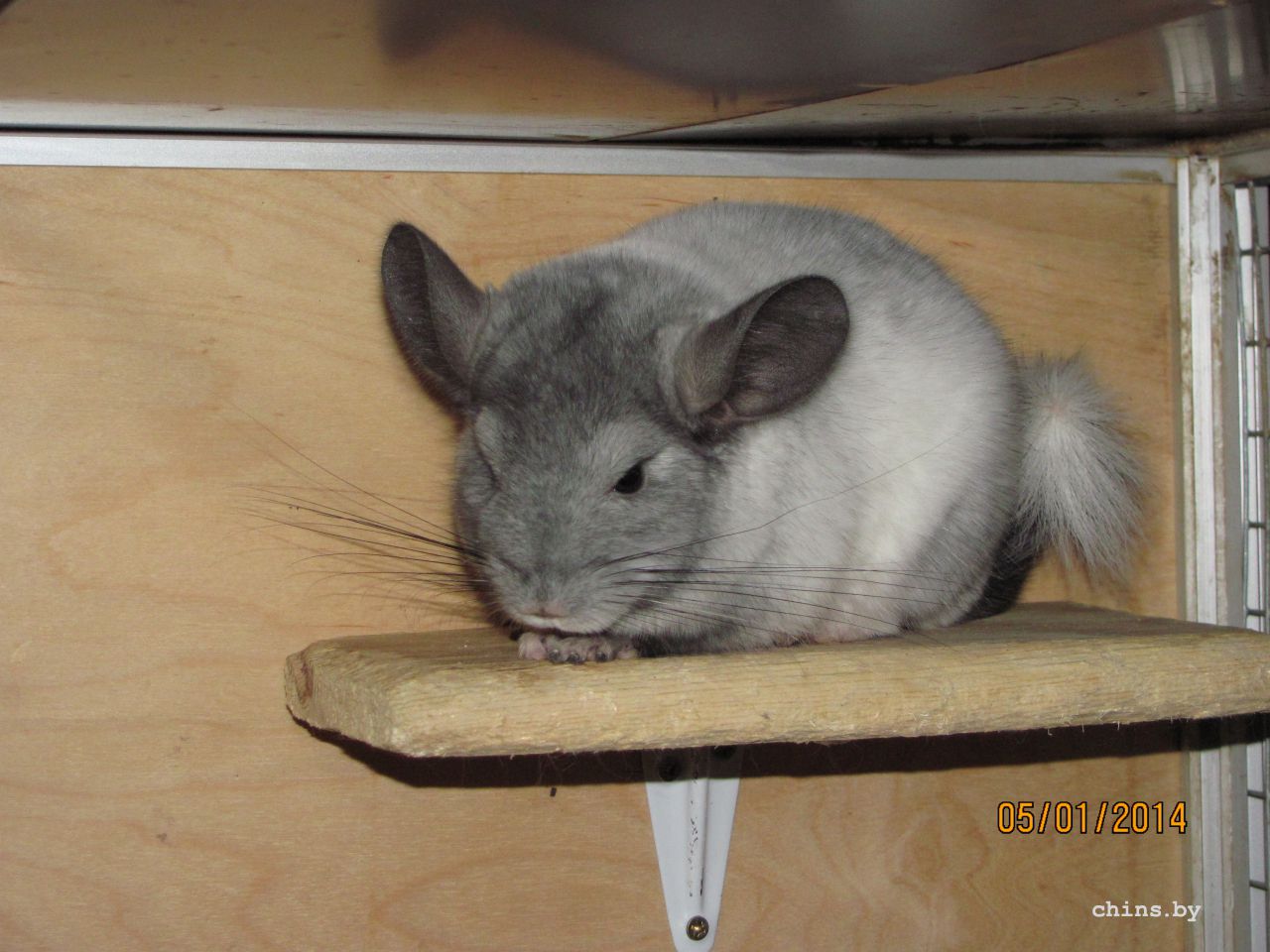 Изображение 1180.jpg