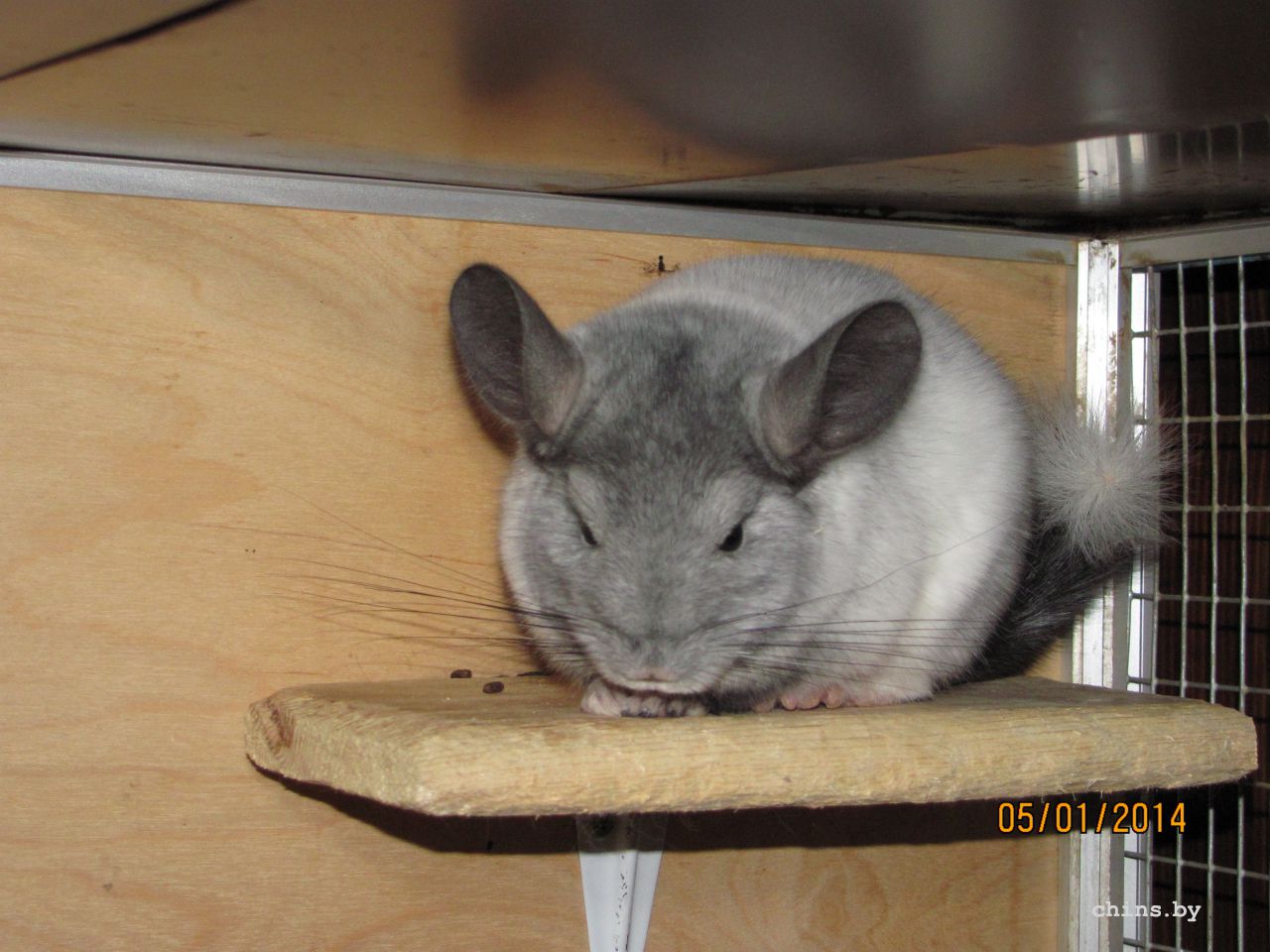 Изображение 1173.jpg