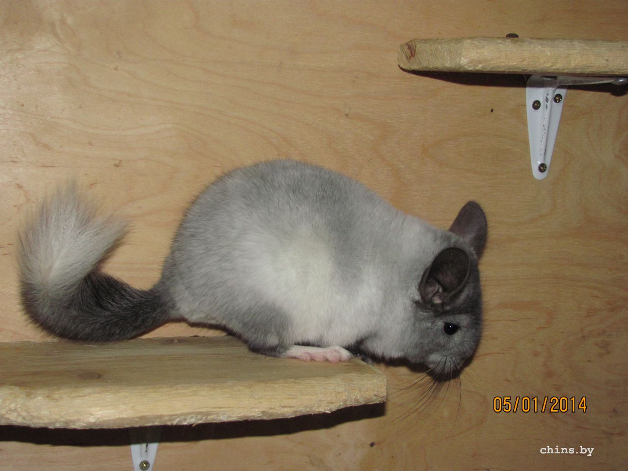 Изображение 1166.jpg