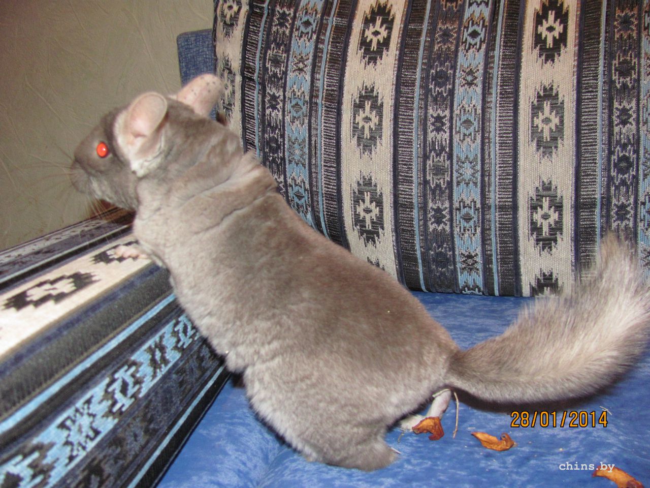 Изображение 1272.jpg