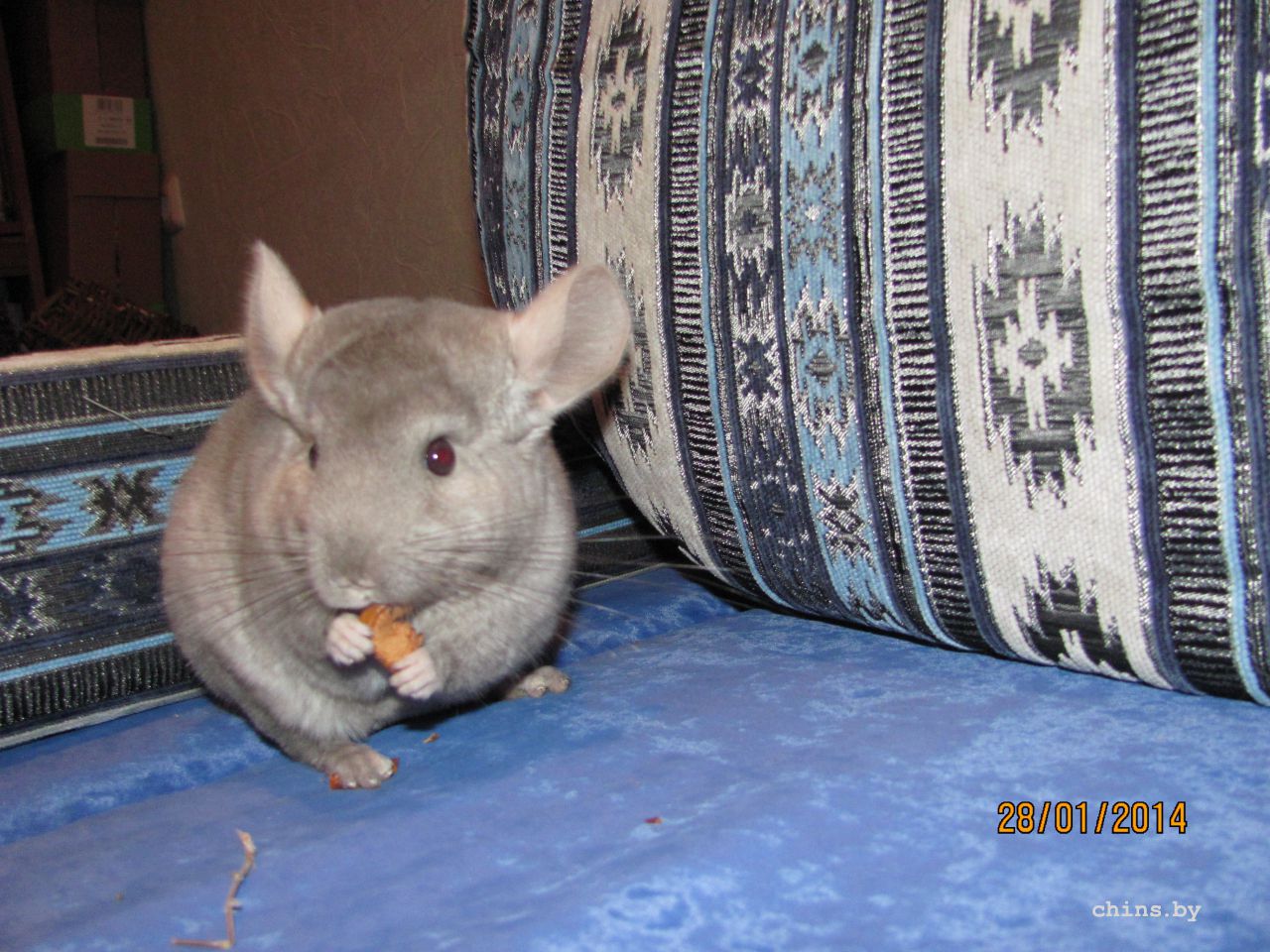 Изображение 1259.jpg