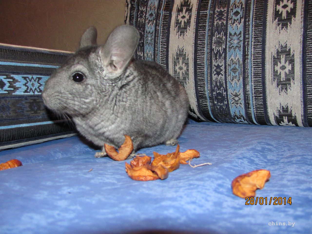 Изображение 1248.jpg