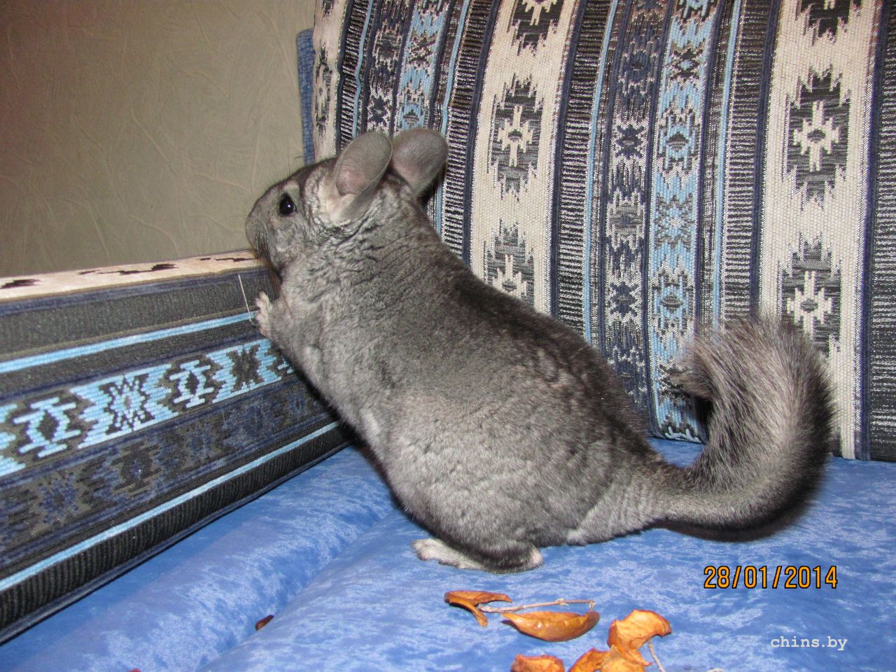 Изображение 1252.jpg