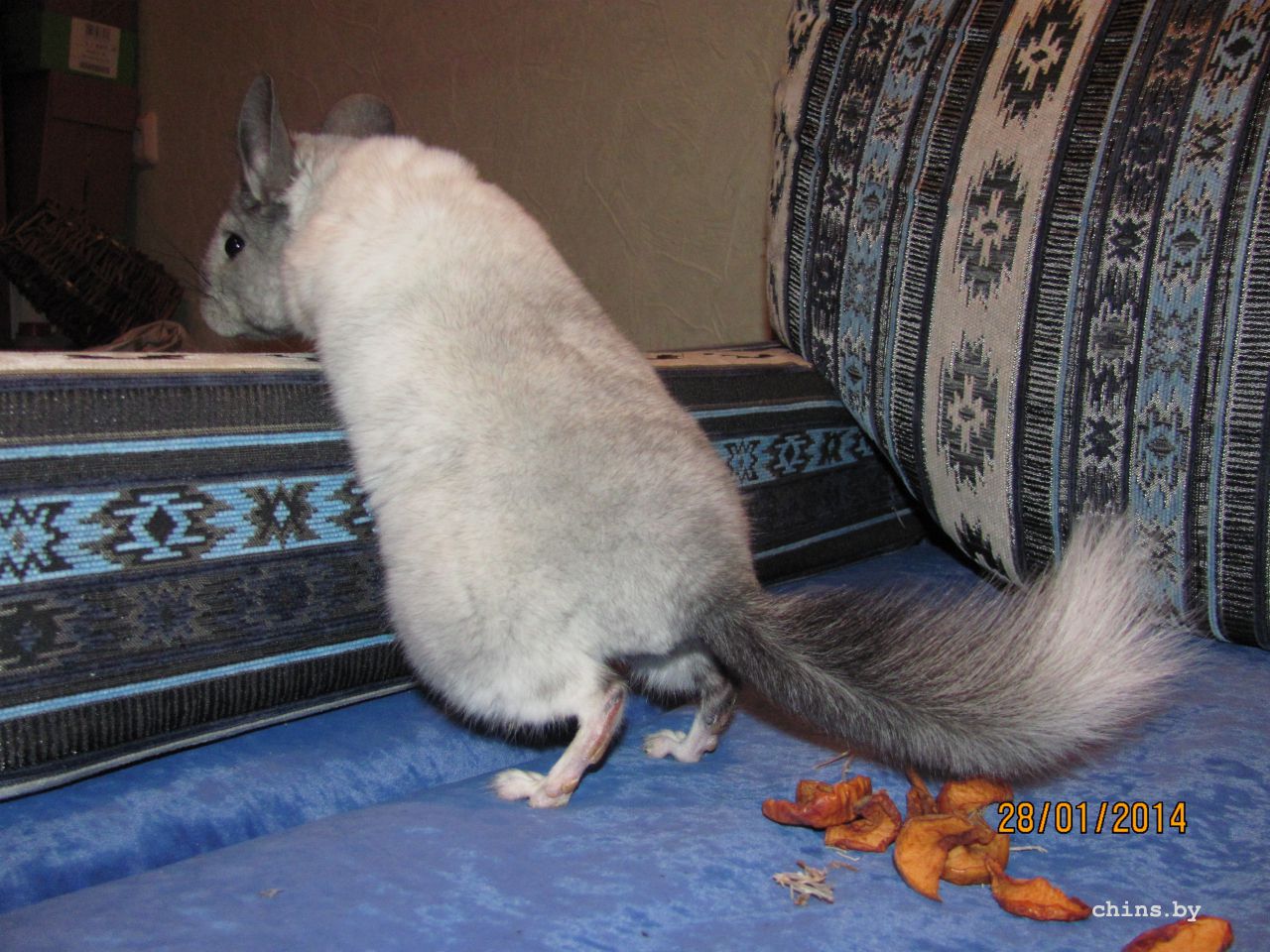 Изображение 1239.jpg