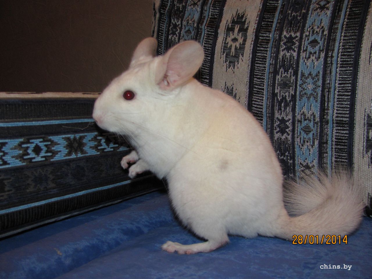 Изображение 1228.jpg