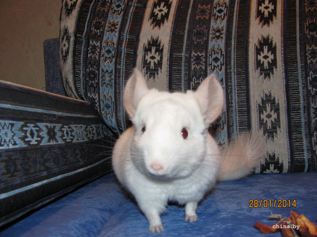 Изображение 1220.jpg