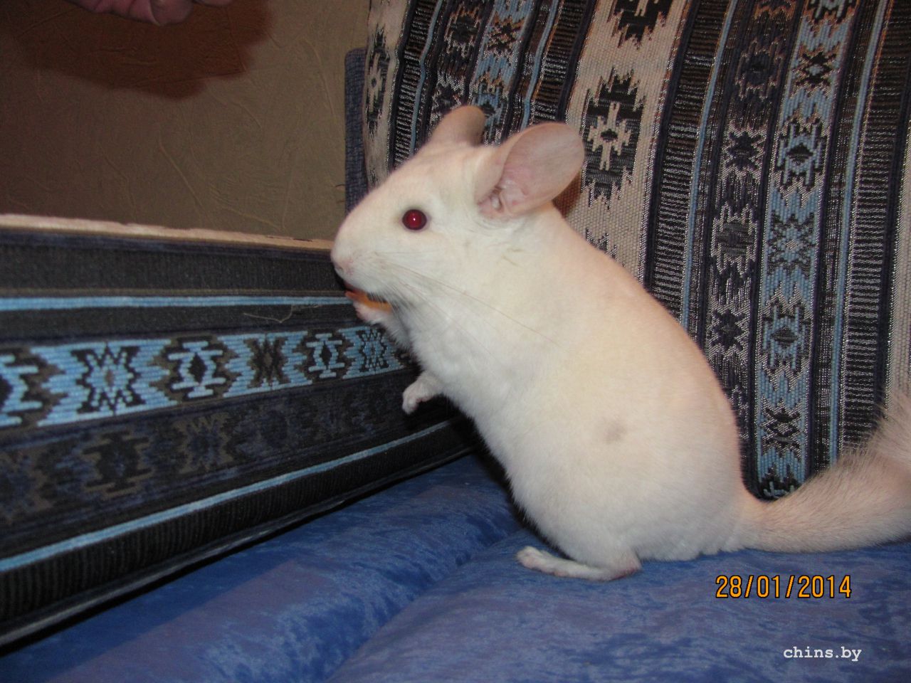 Изображение 1218.jpg