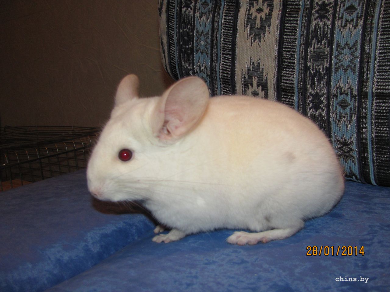 Изображение 1212.jpg