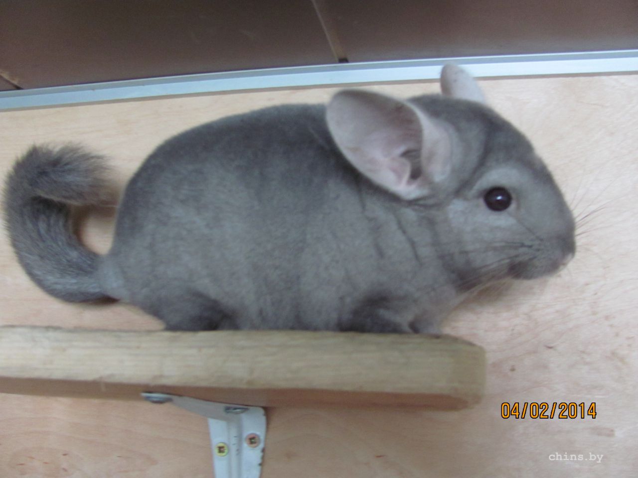 Изображение 1358.jpg