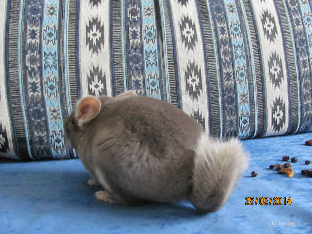 Изображение 1434.jpg