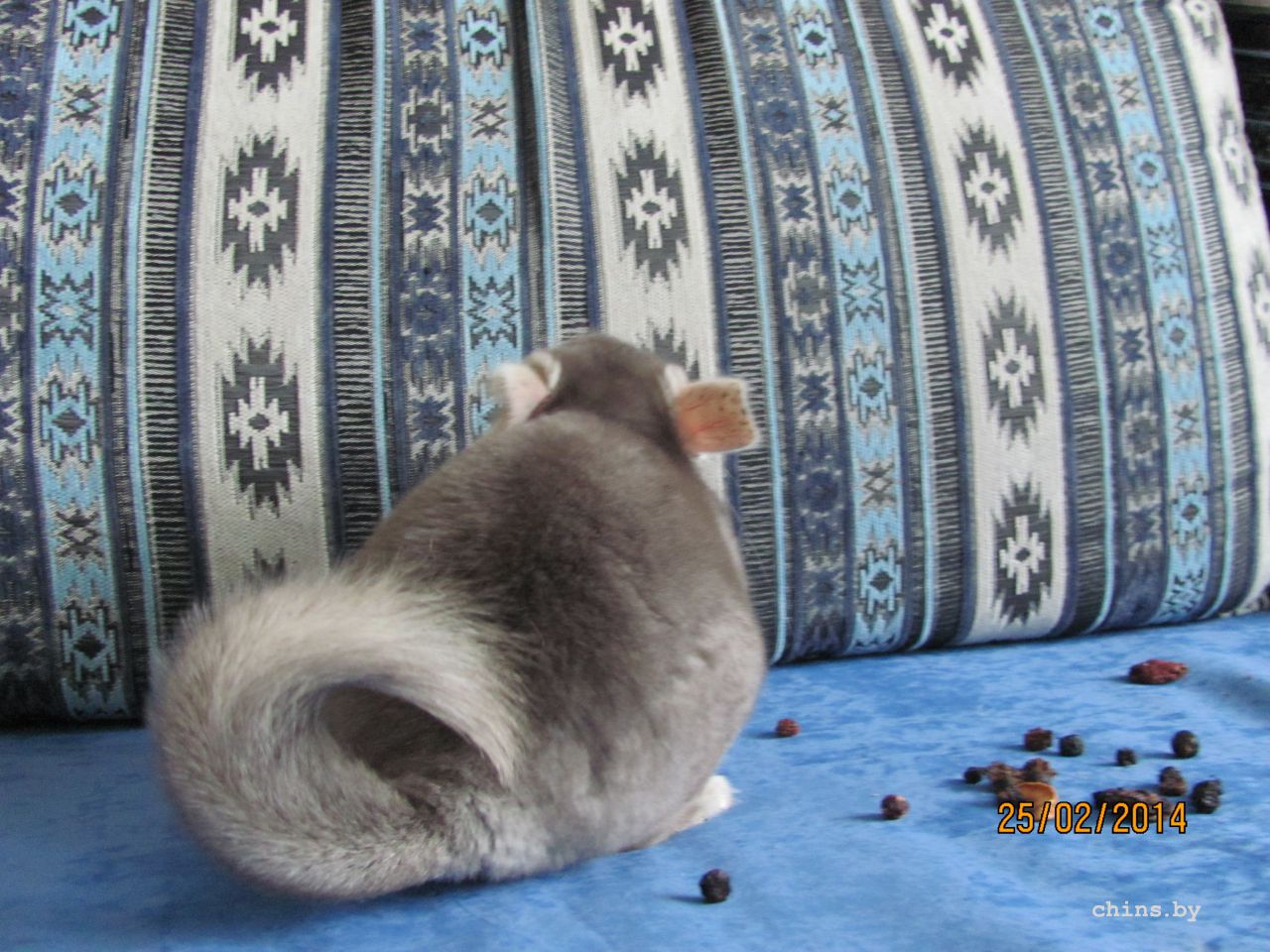 Изображение 1437.jpg