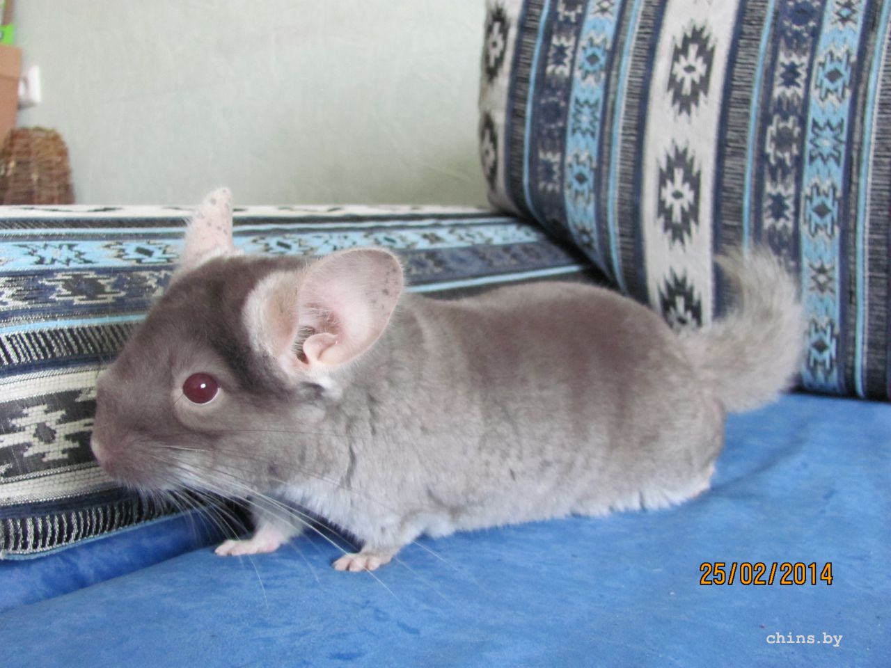 Изображение 1441.jpg