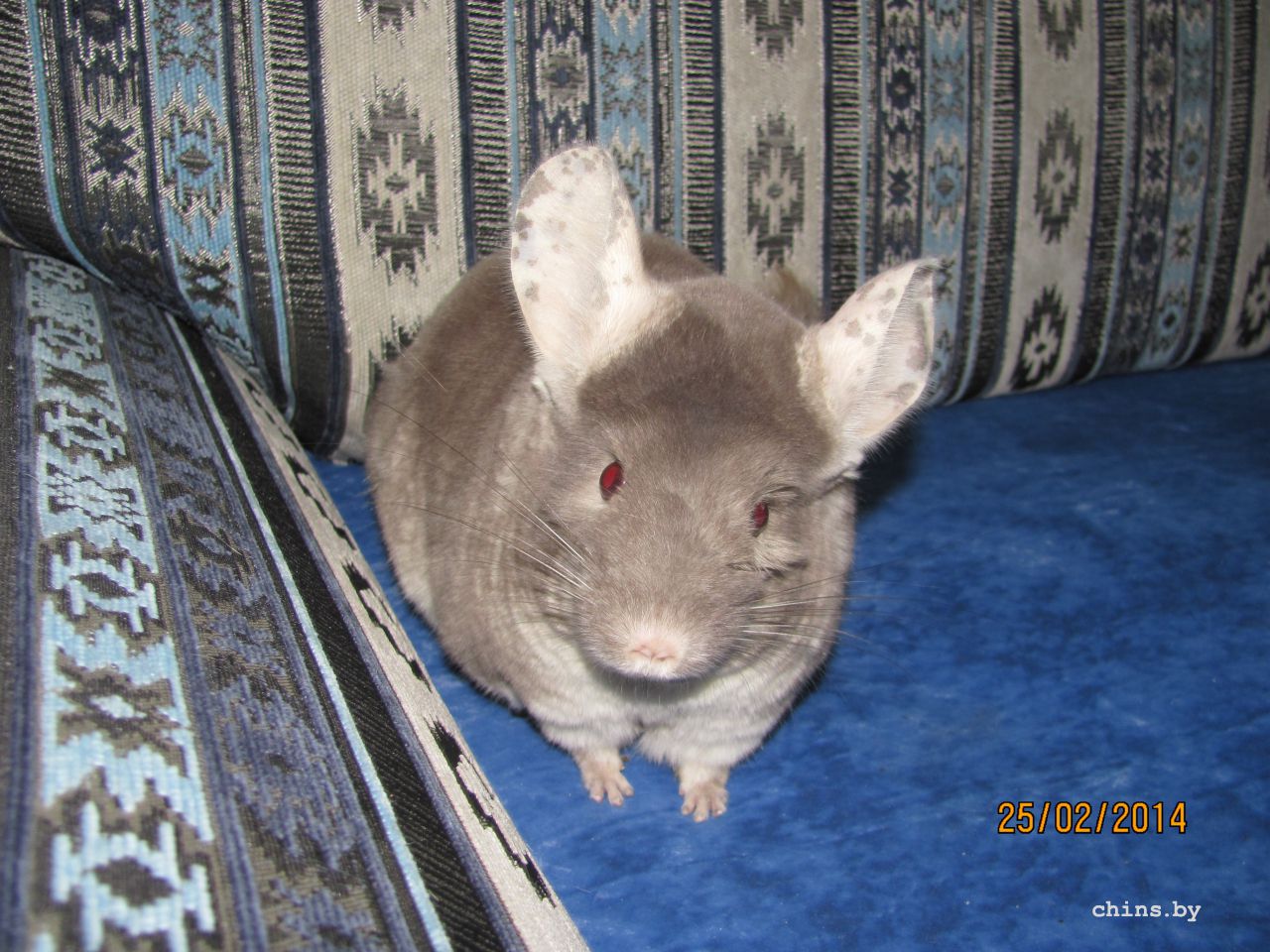 Изображение 1411.jpg