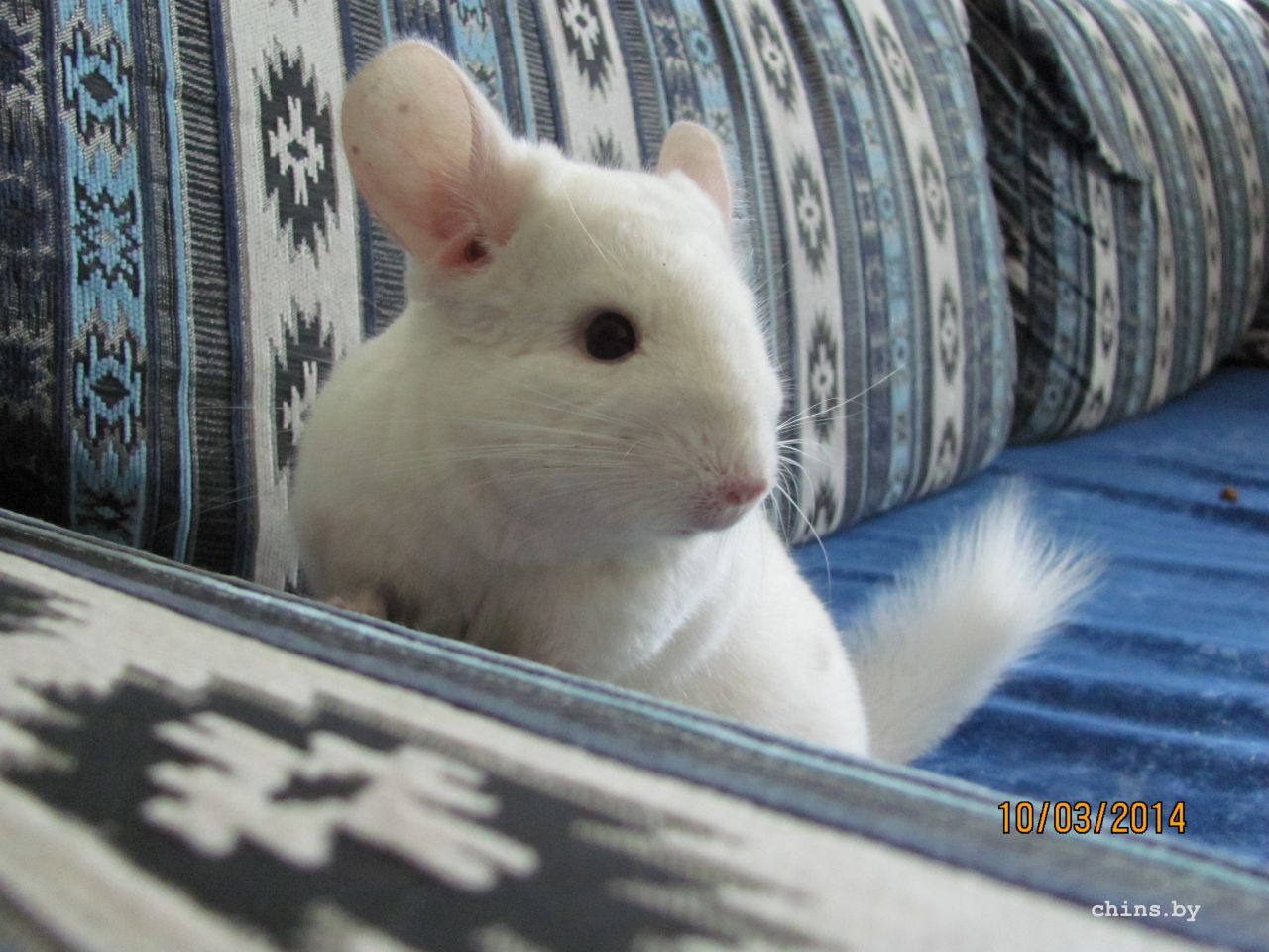 Изображение 1499.jpg