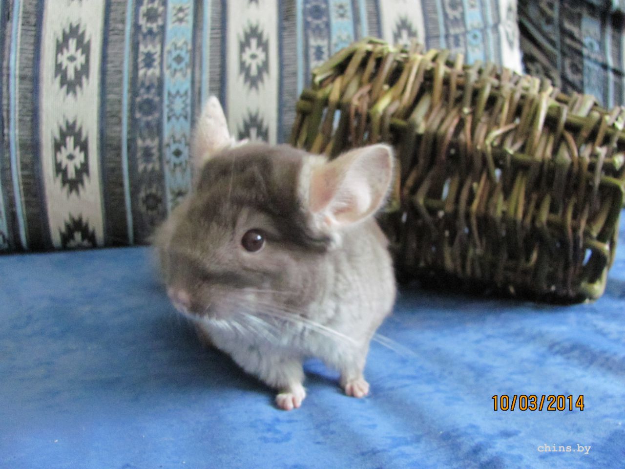 Изображение 1549.jpg