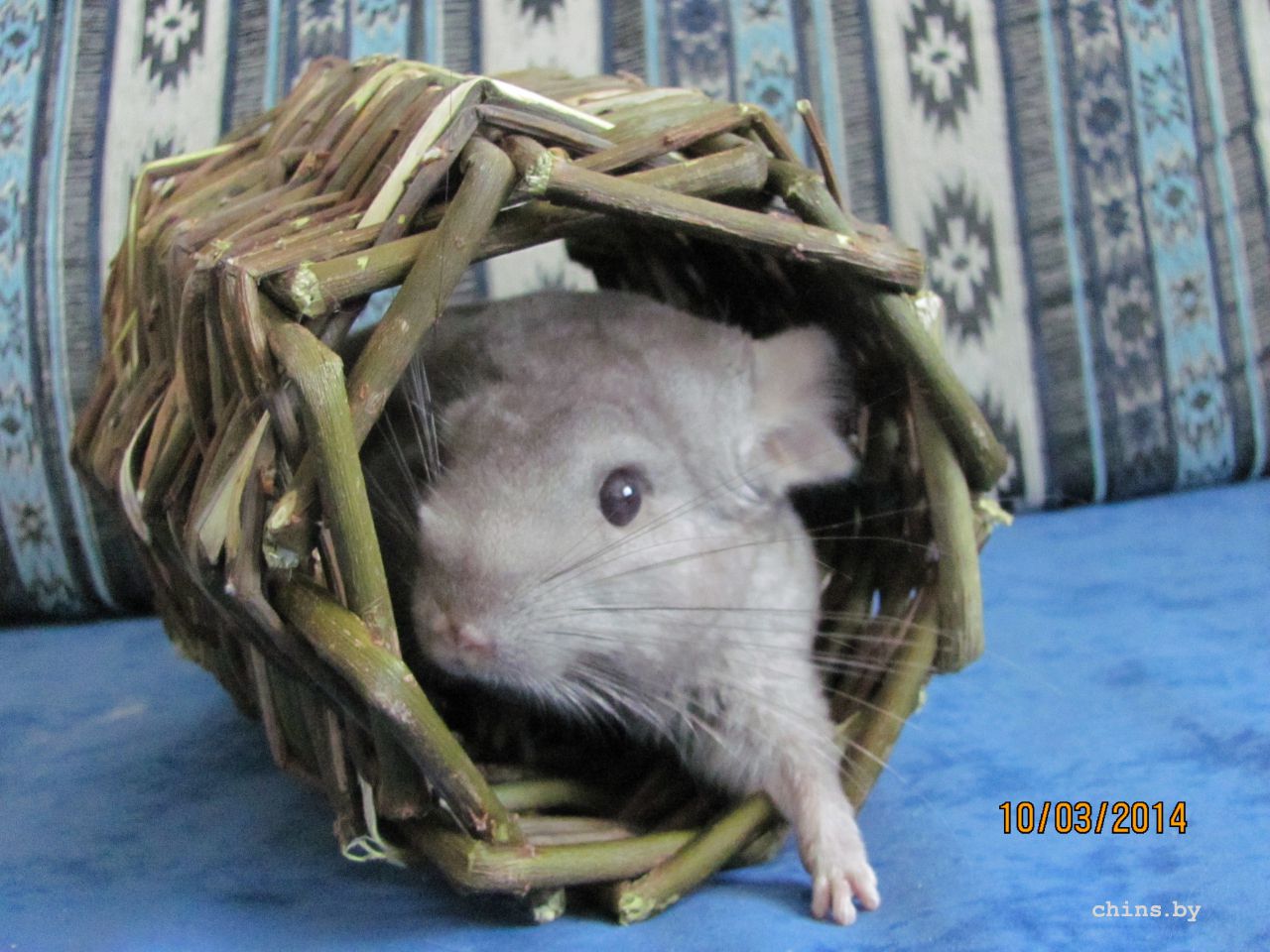 Изображение 1524.jpg