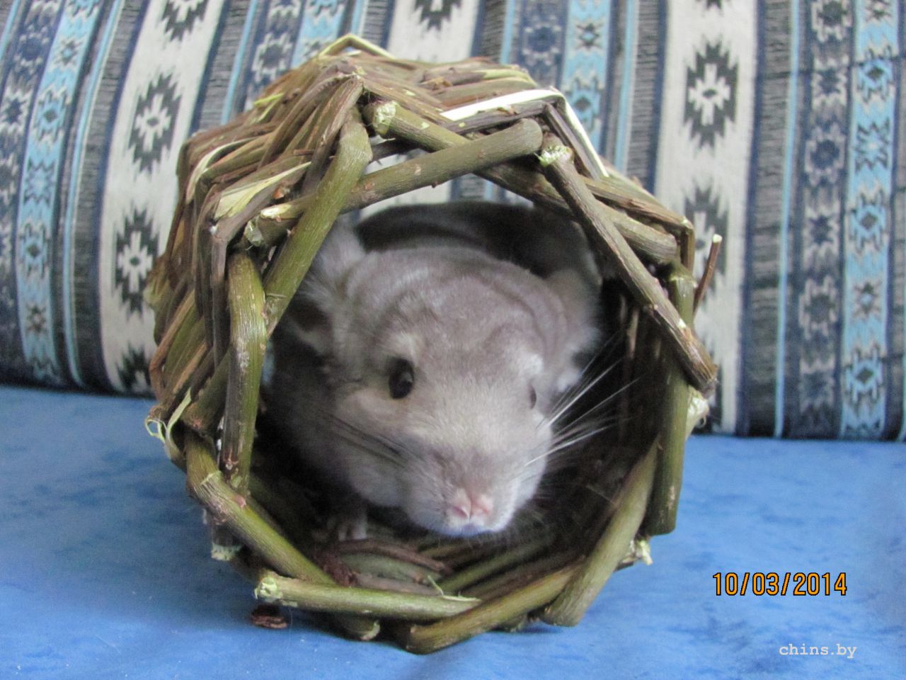 Изображение 1530.jpg