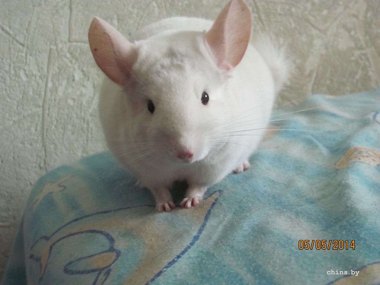 Изображение 1668.jpg