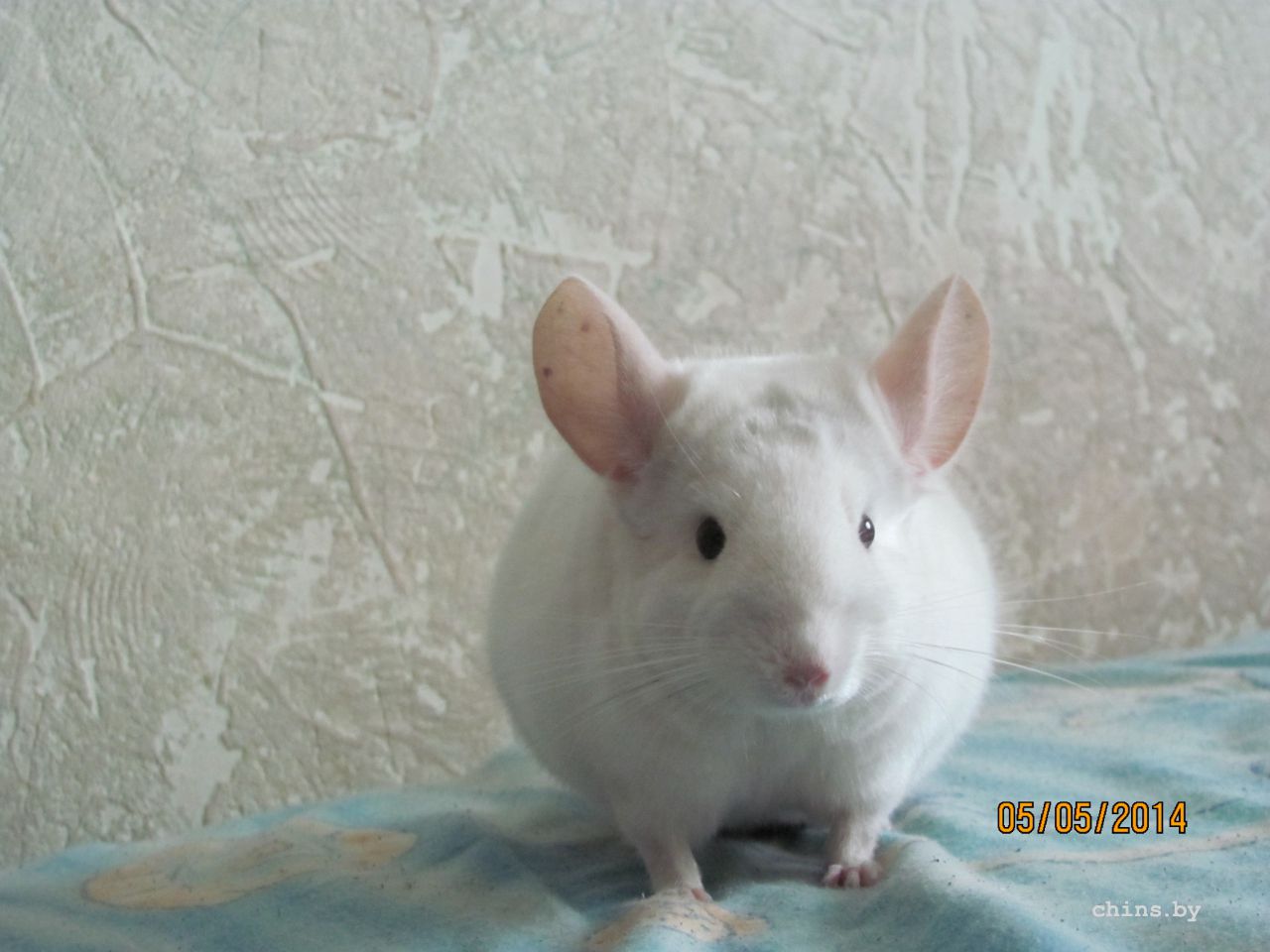 Изображение 1658.jpg