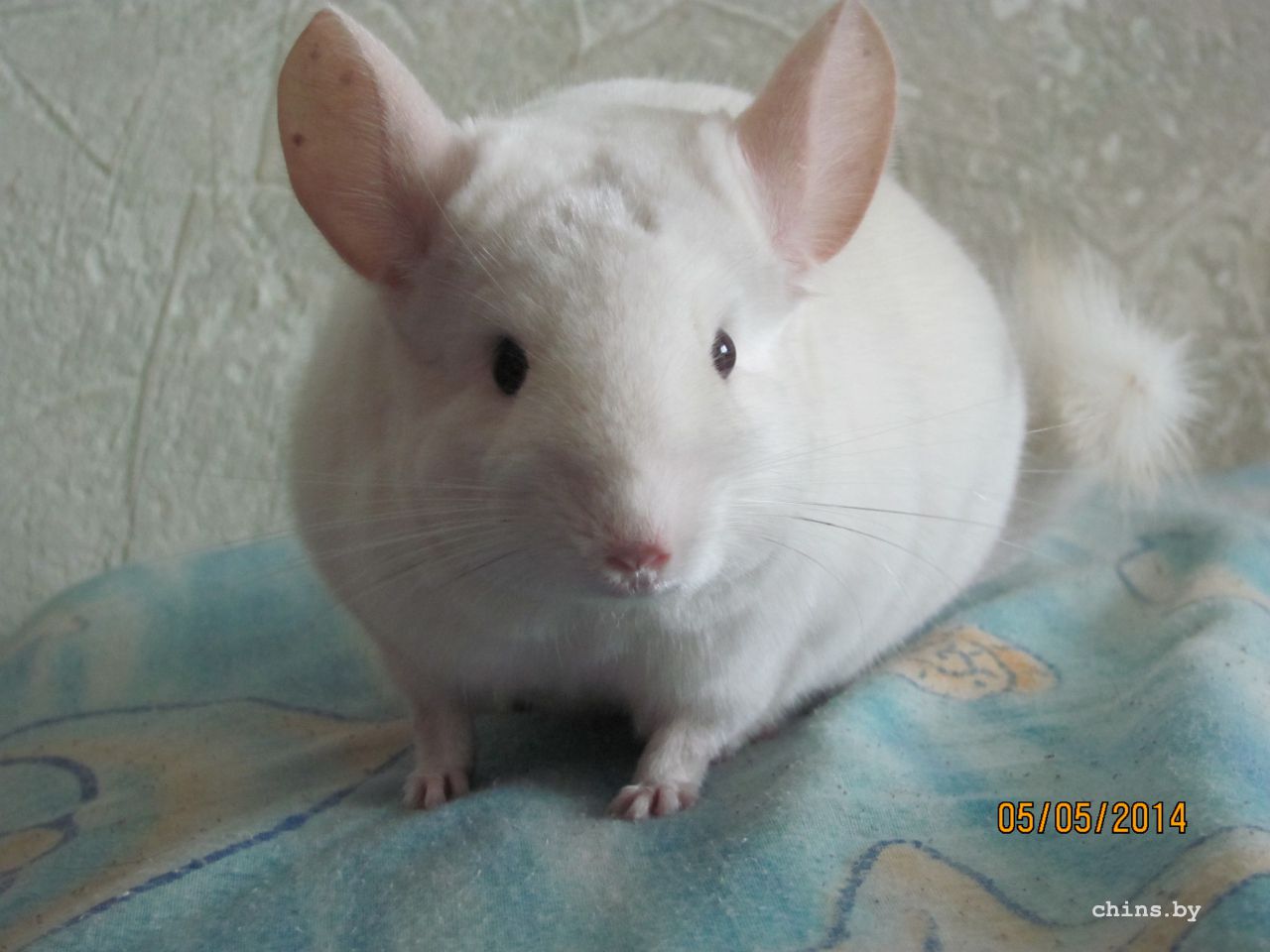 Изображение 1640.jpg