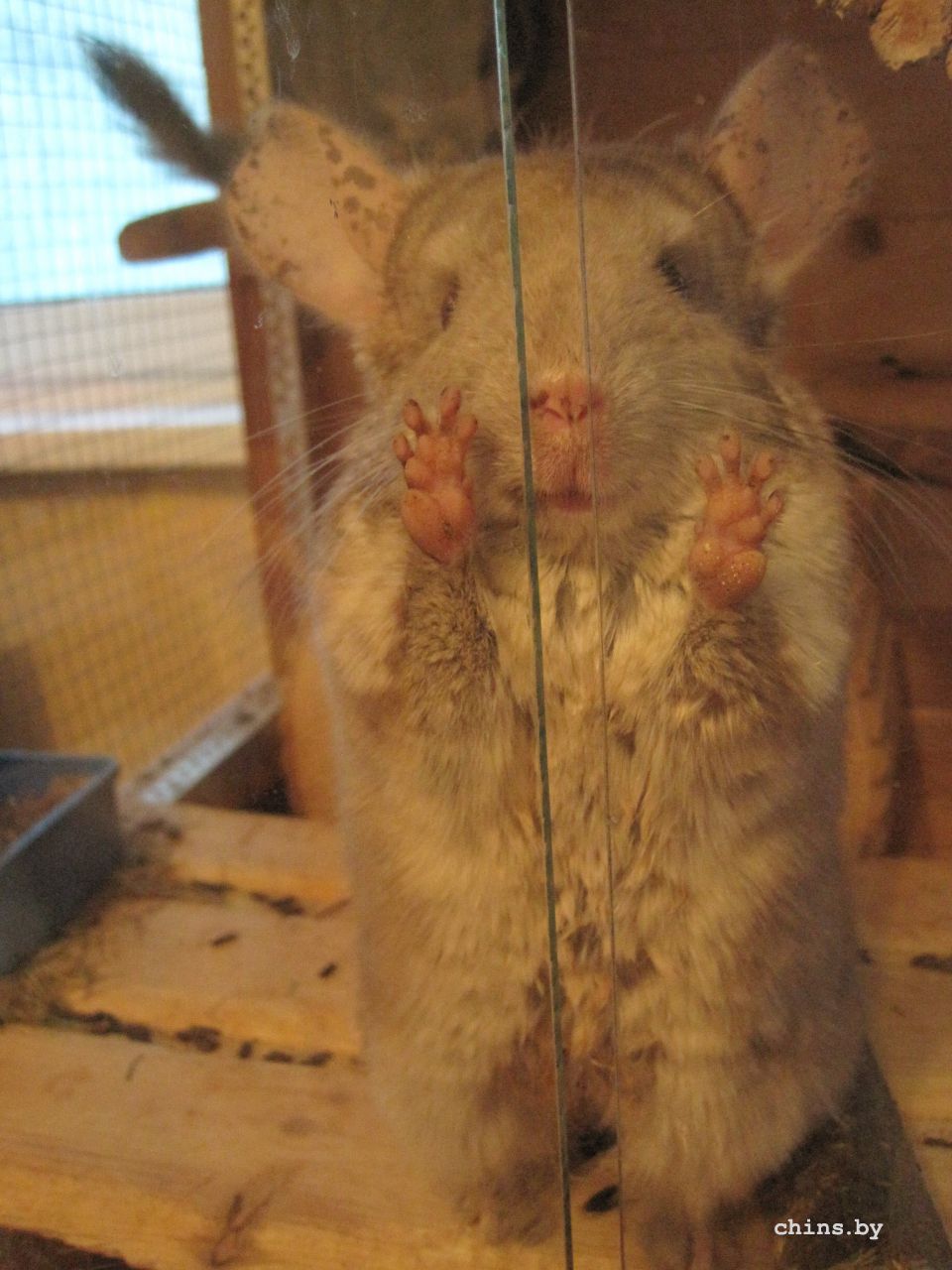 2014-06-19 21-40-36.JPG